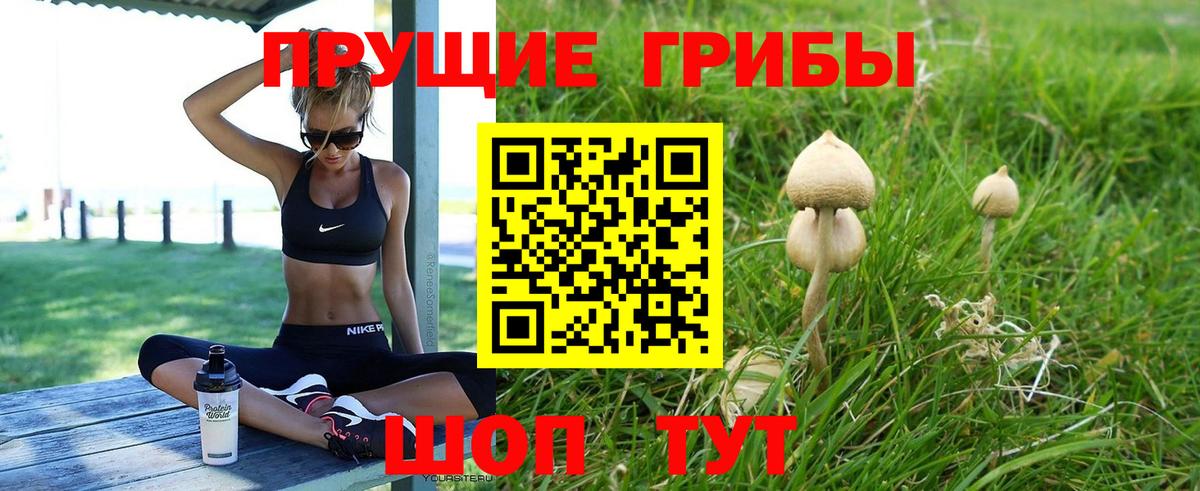 Псилоцибиновые грибы прущие грибы Волжск