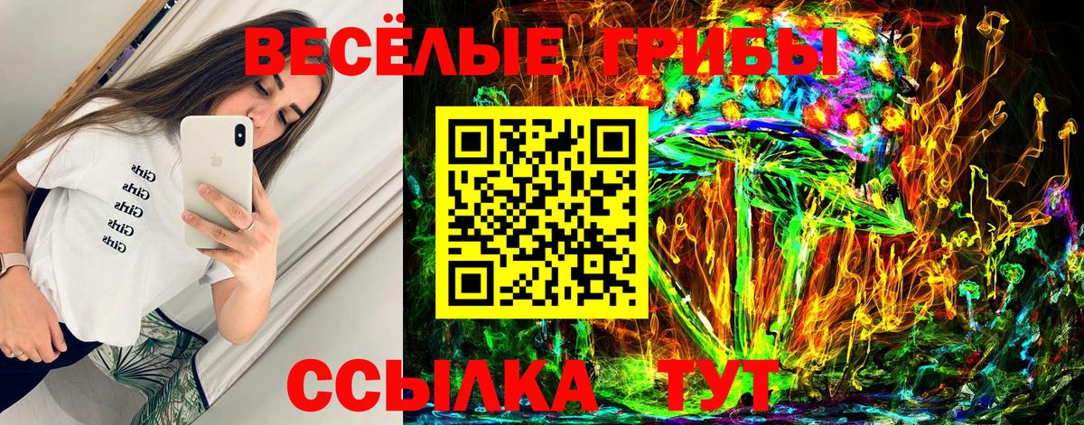 Волжск  Галлюциногенные грибы GOLDEN TEACHER  Вход с VPN 